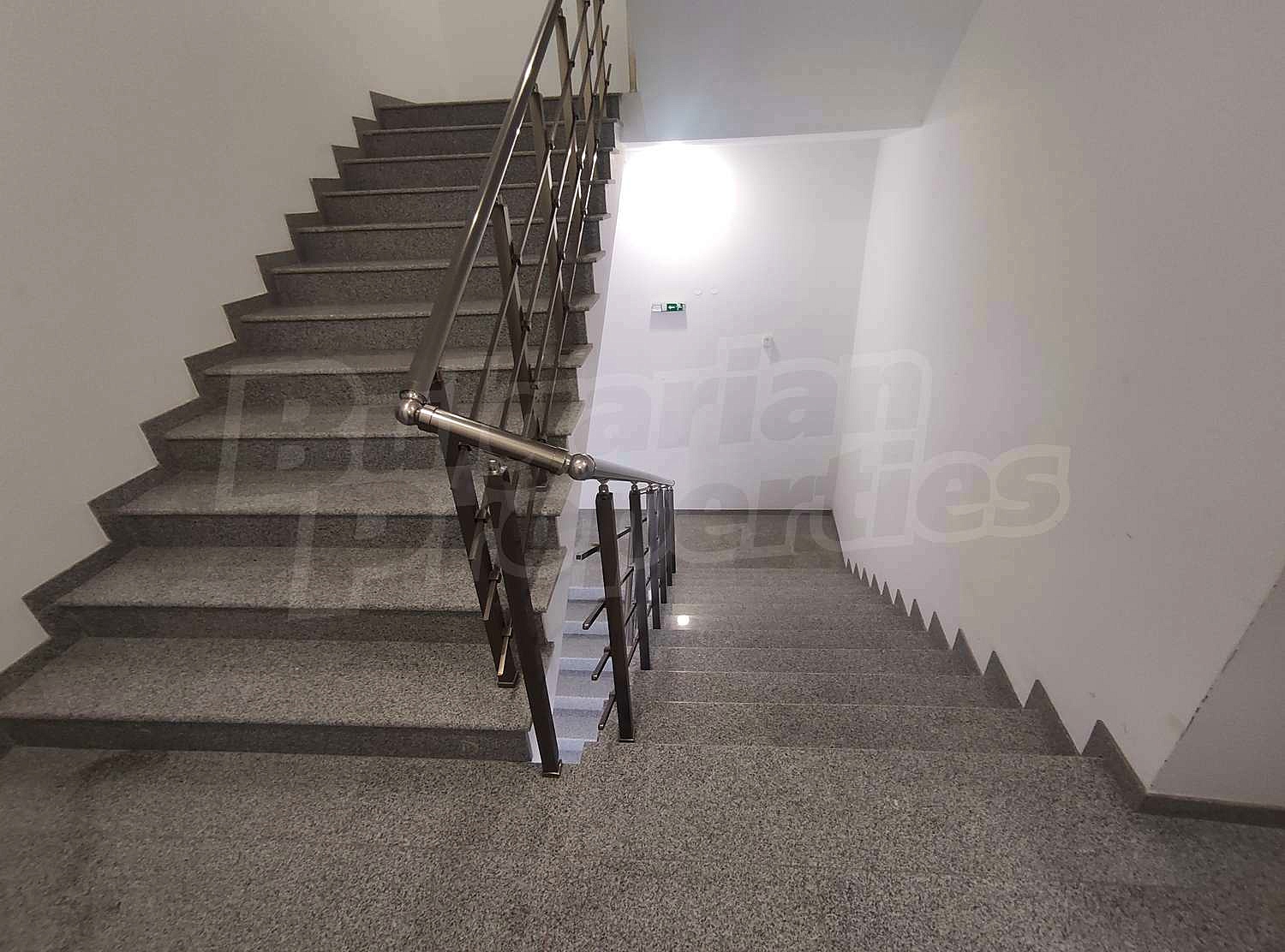 Gallery Picture 8