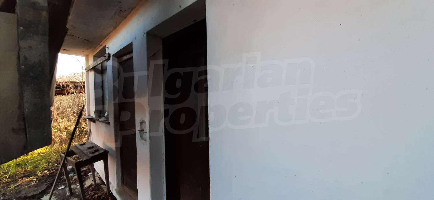 Gallery Picture 11