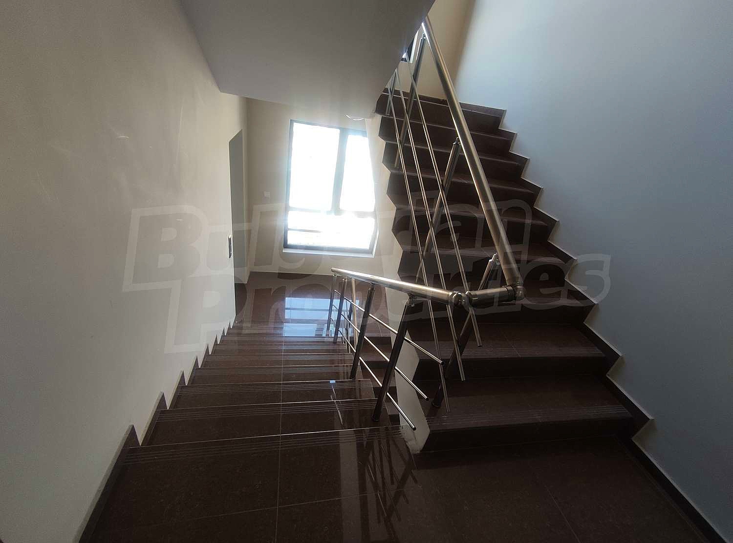 Gallery Picture 19