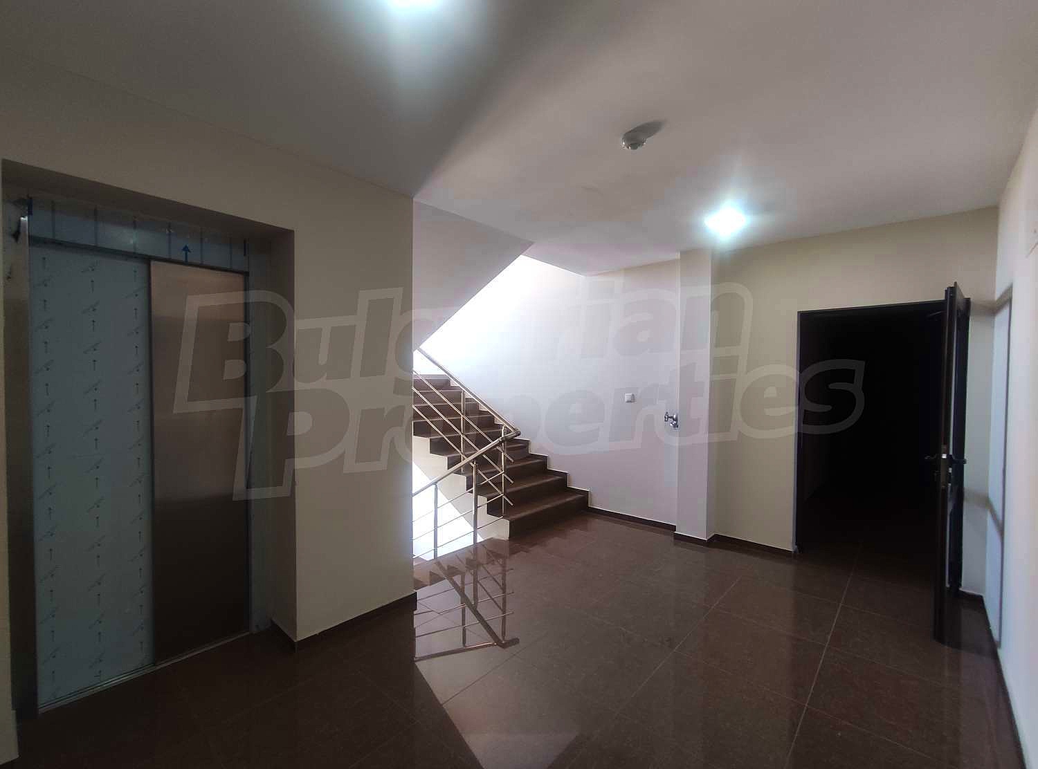 Gallery Picture 16
