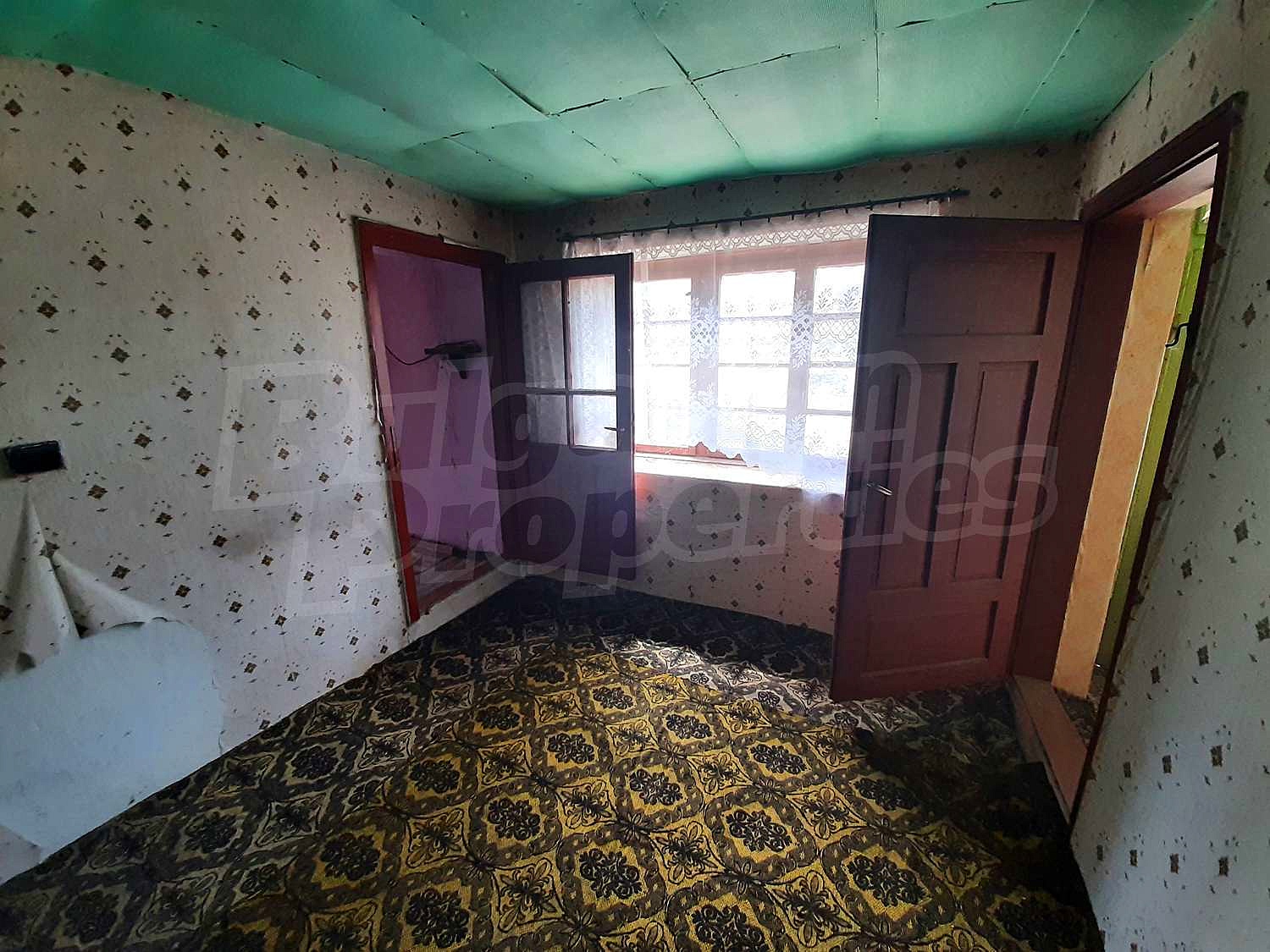 Gallery Picture 10