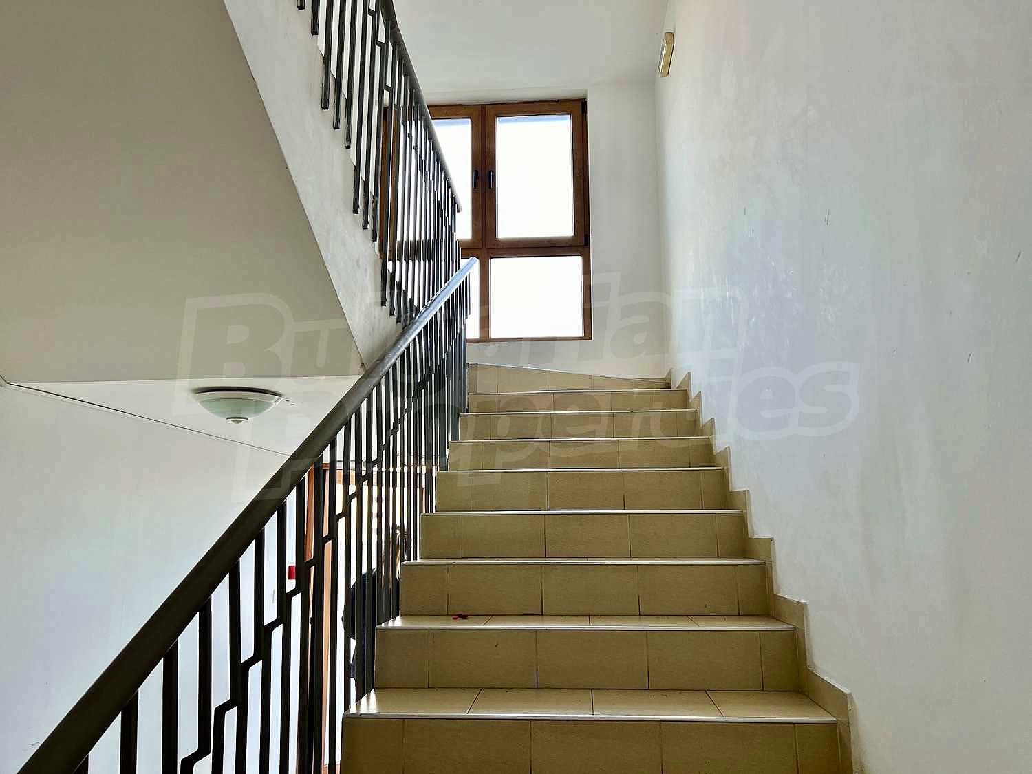Gallery Picture 13