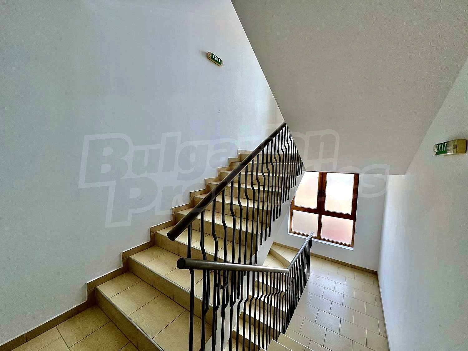 Gallery Picture 31