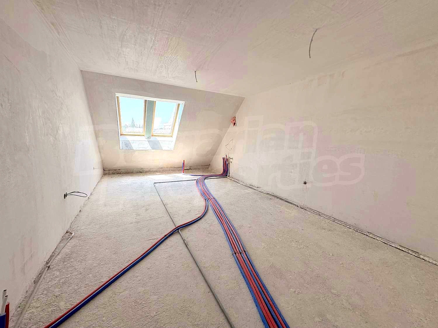 Gallery Picture 7