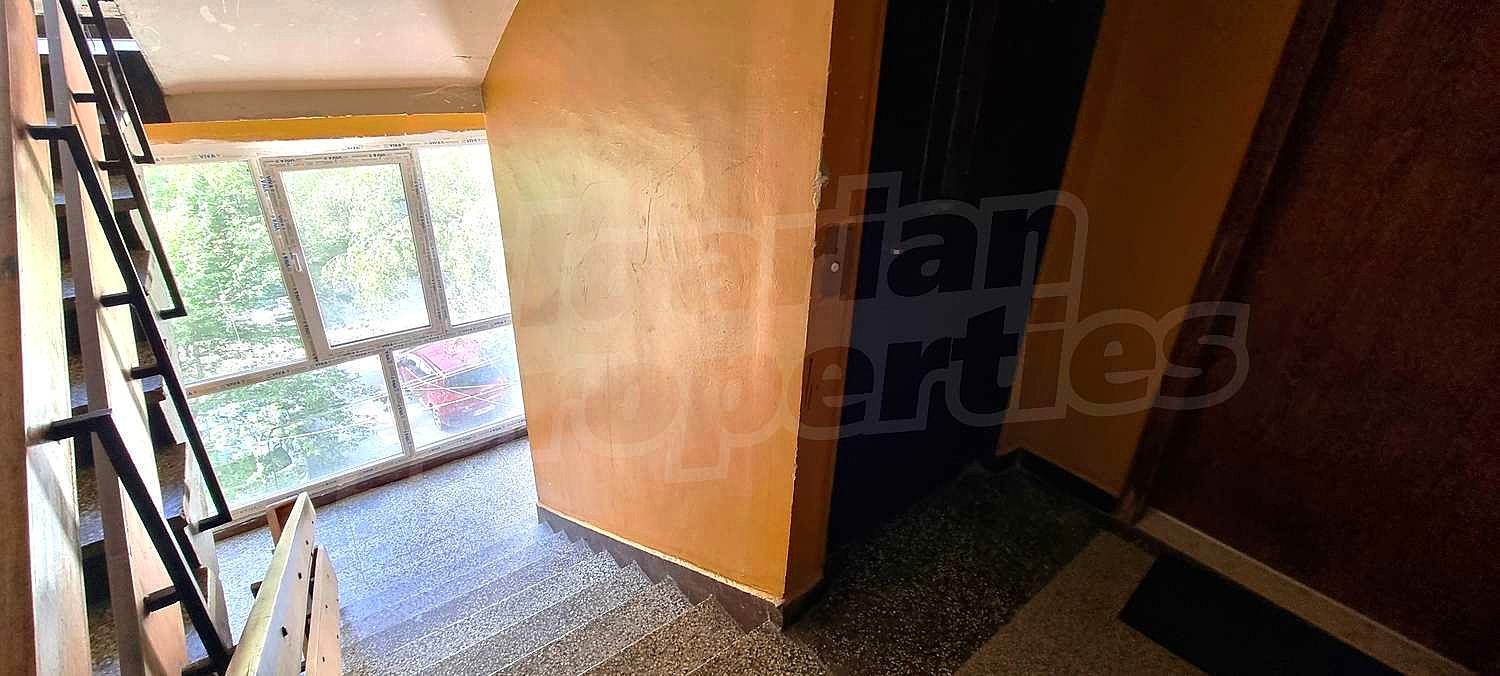 Gallery Picture 15