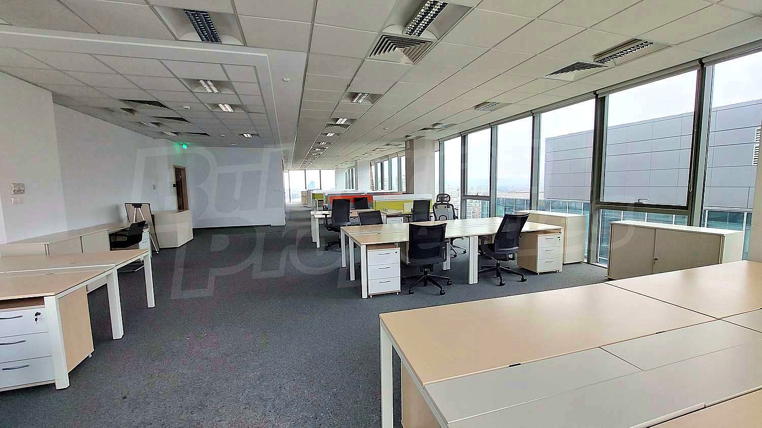 Gallery Picture 8