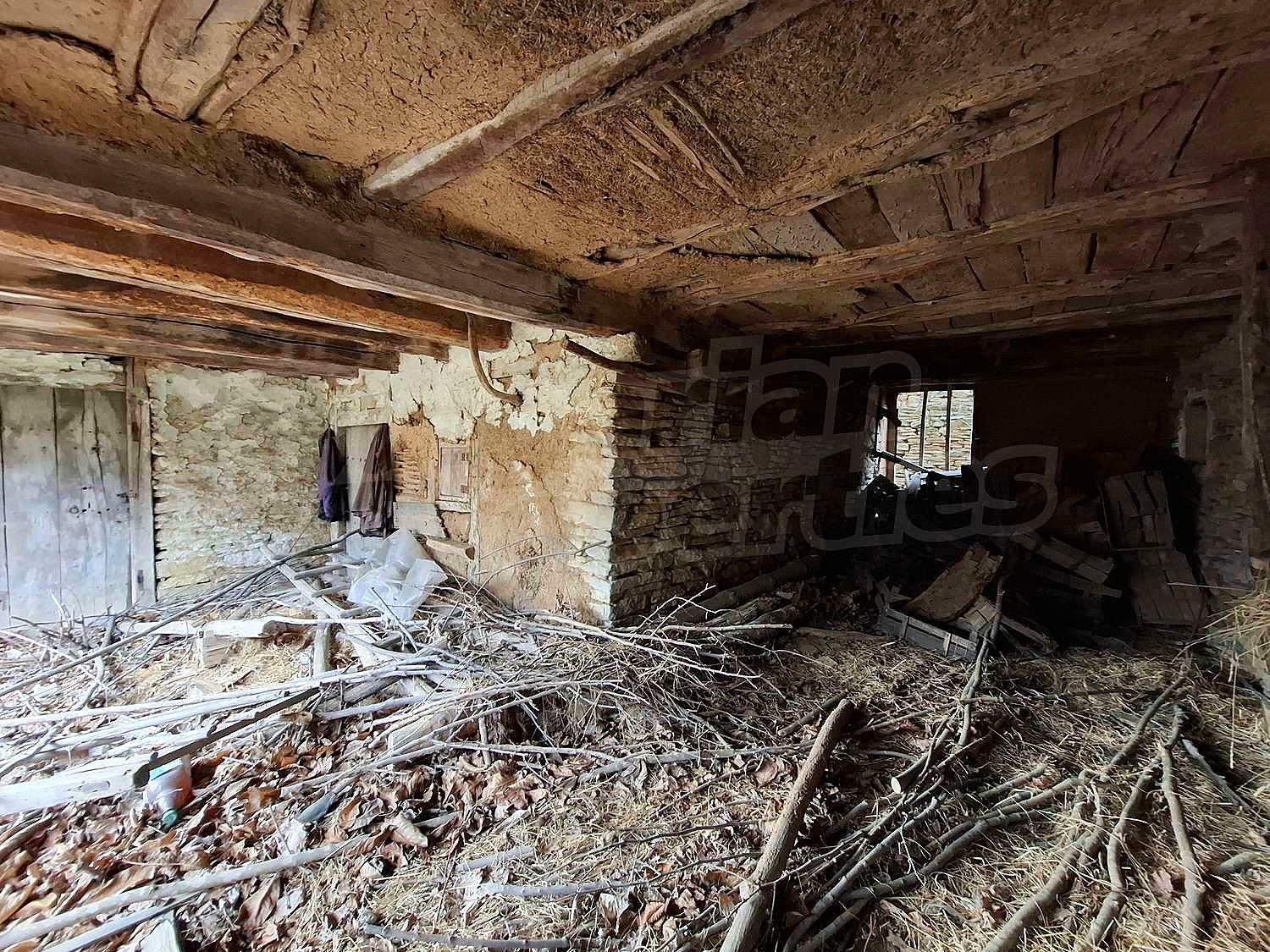 Gallery Picture 10