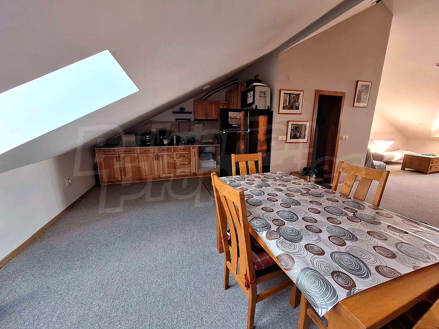 Gallery Picture 17