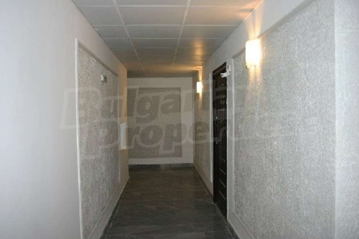Gallery Picture 16