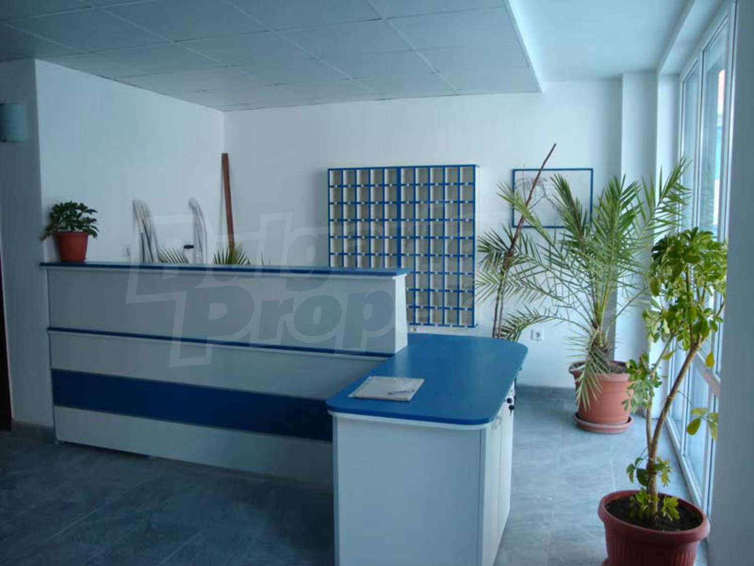 Gallery Picture 6