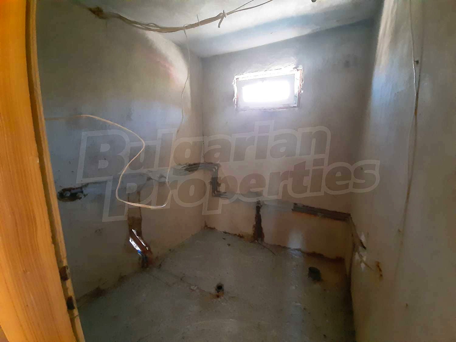 Gallery Picture 14