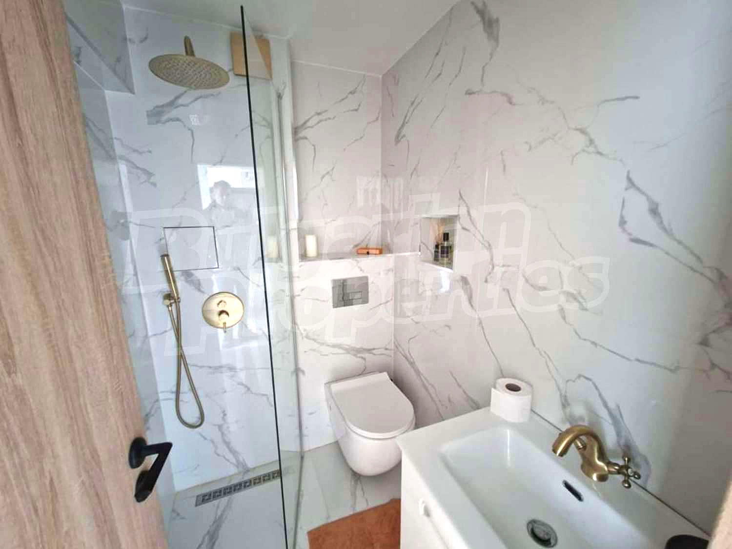 Gallery Picture 12