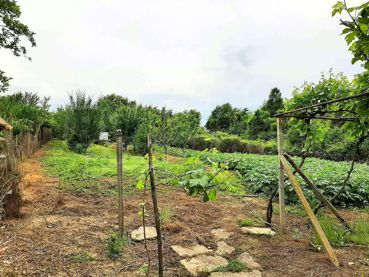 Gallery Picture 2