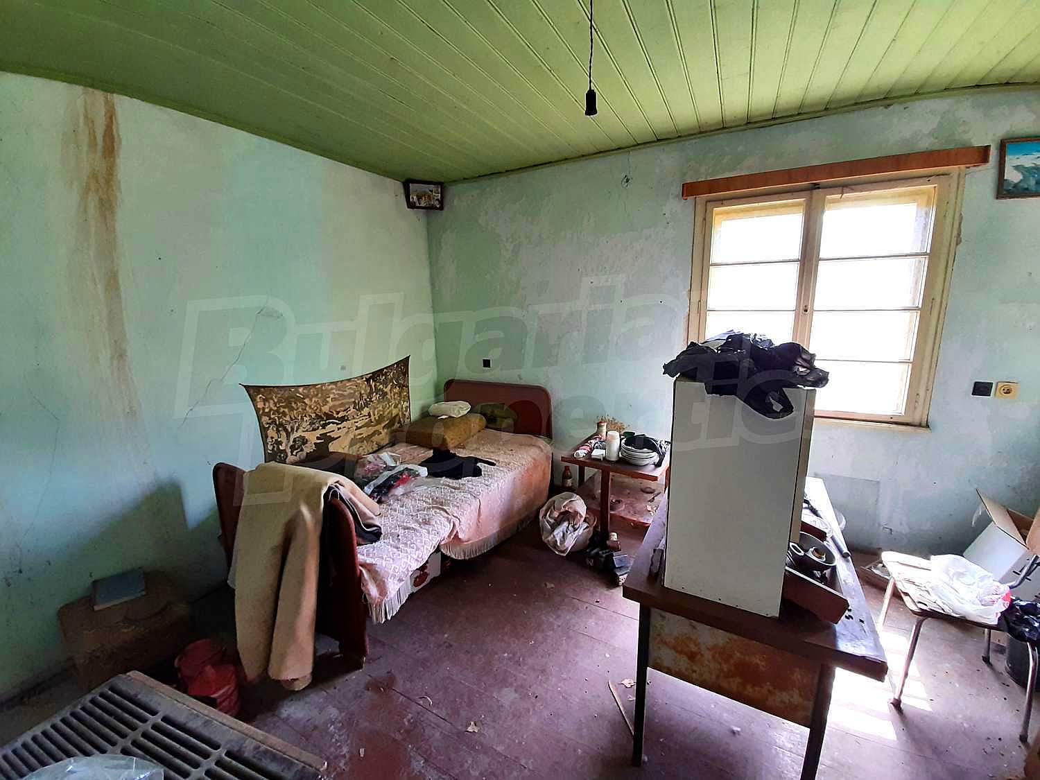 Gallery Picture 11