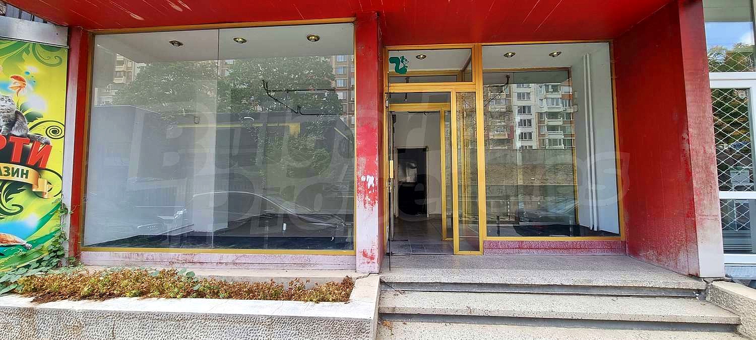 Gallery Picture 16