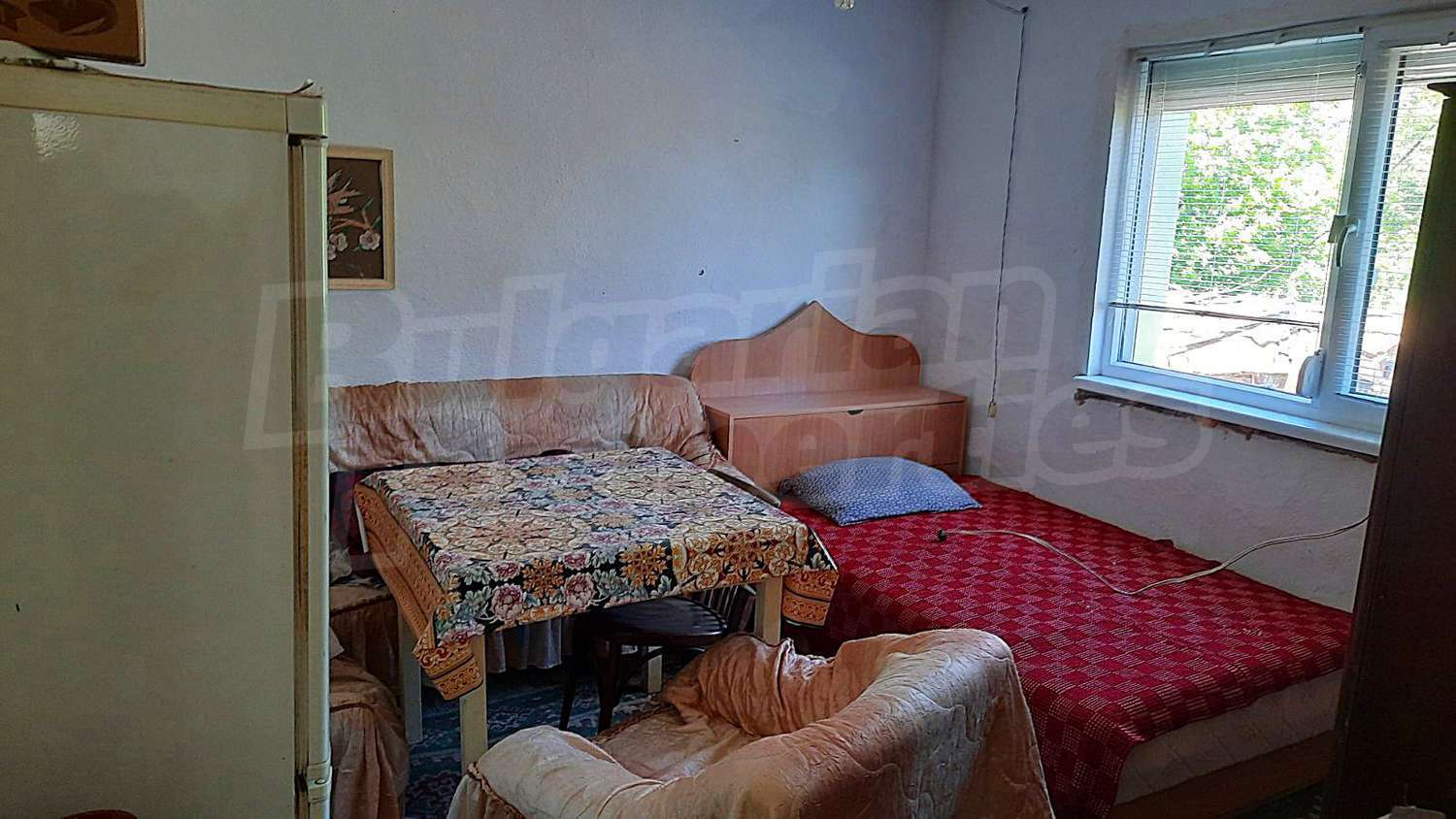 Gallery Picture 7