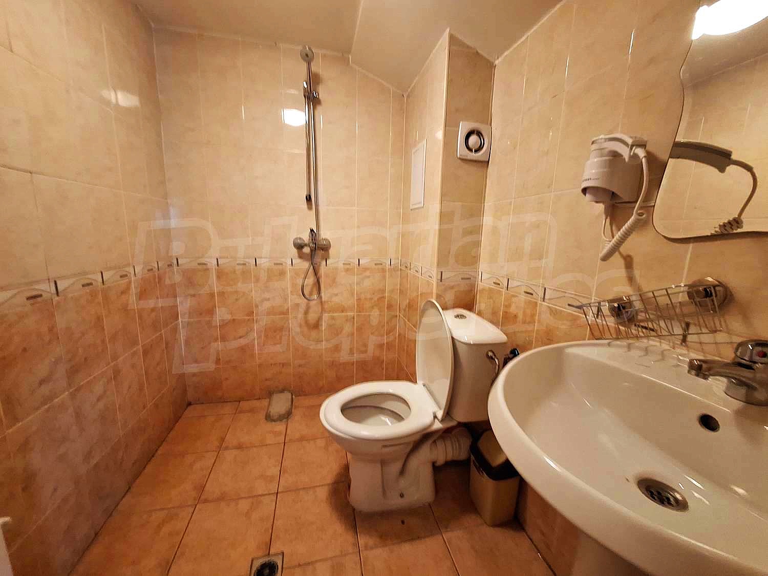Gallery Picture 56