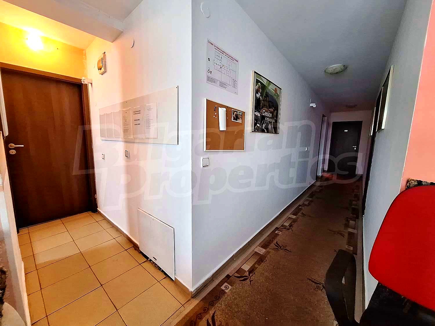 Gallery Picture 58