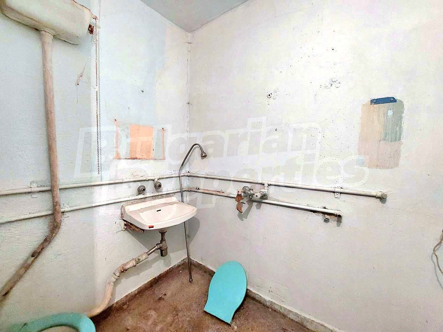 Gallery Picture 14
