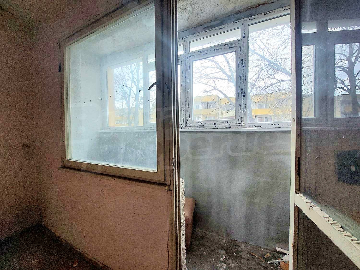 Gallery Picture 17