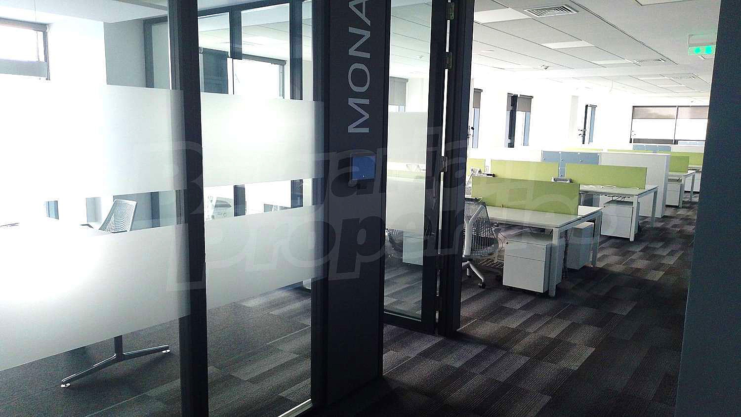 Gallery Picture 11