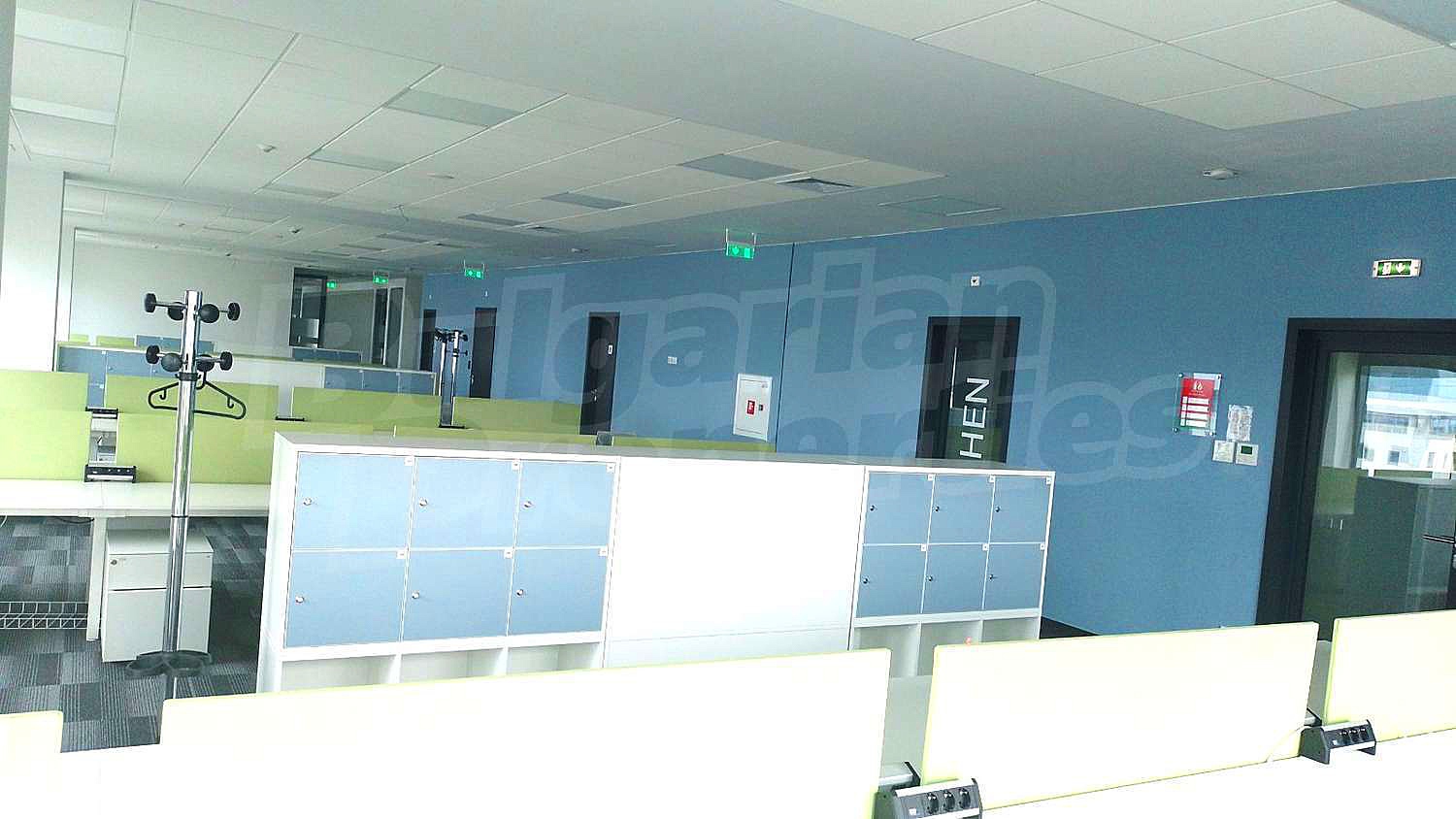 Gallery Picture 13