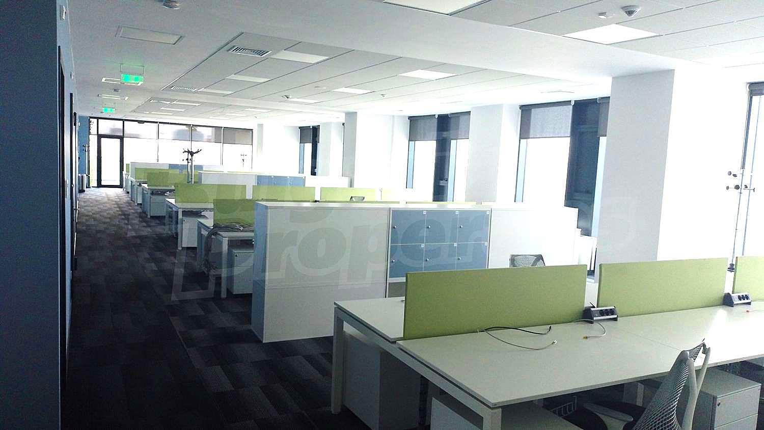 Gallery Picture 15