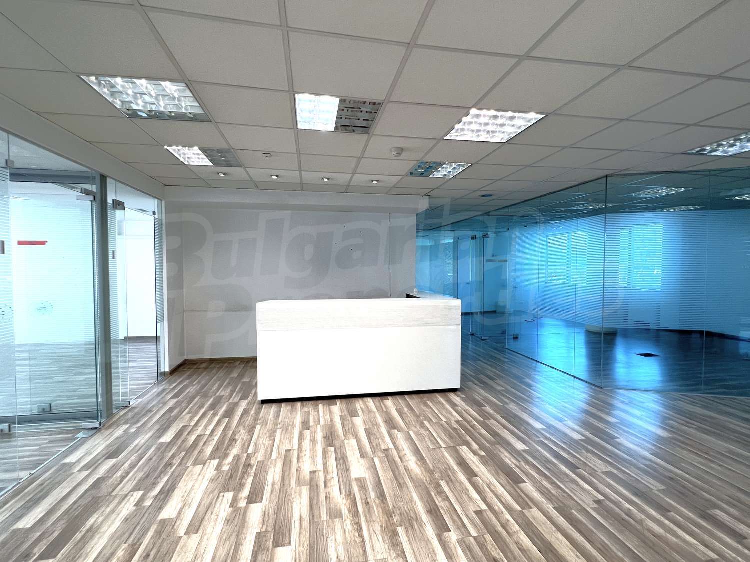 Gallery Picture 4