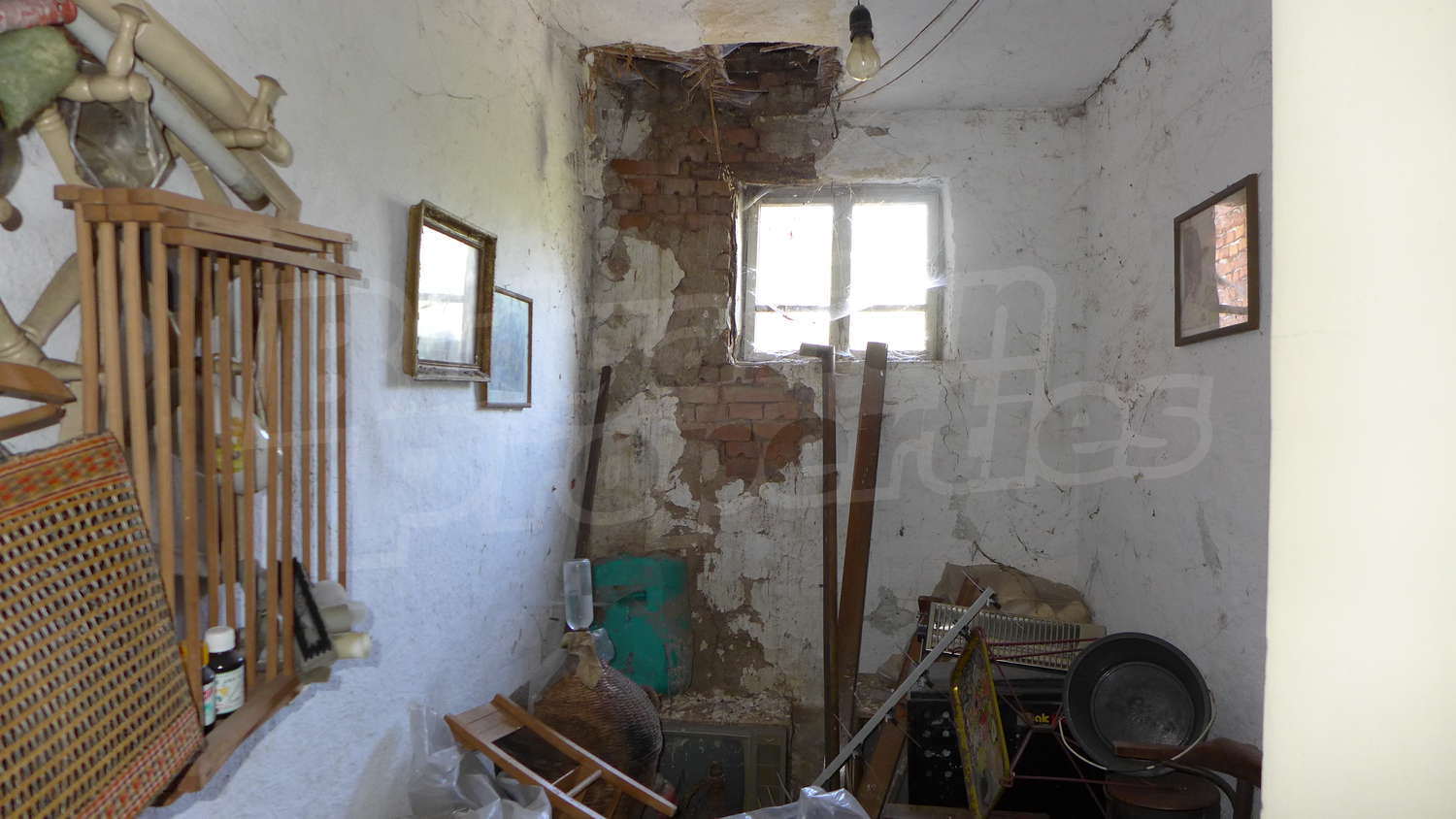 Gallery Picture 16