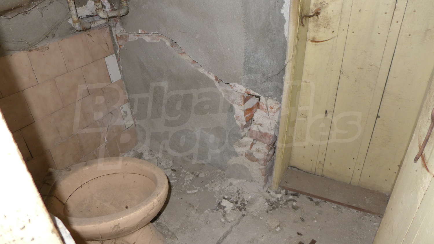 Gallery Picture 24