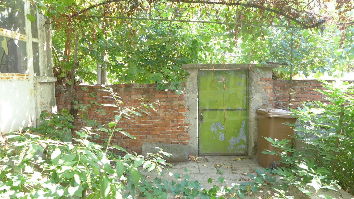 Gallery Picture 25