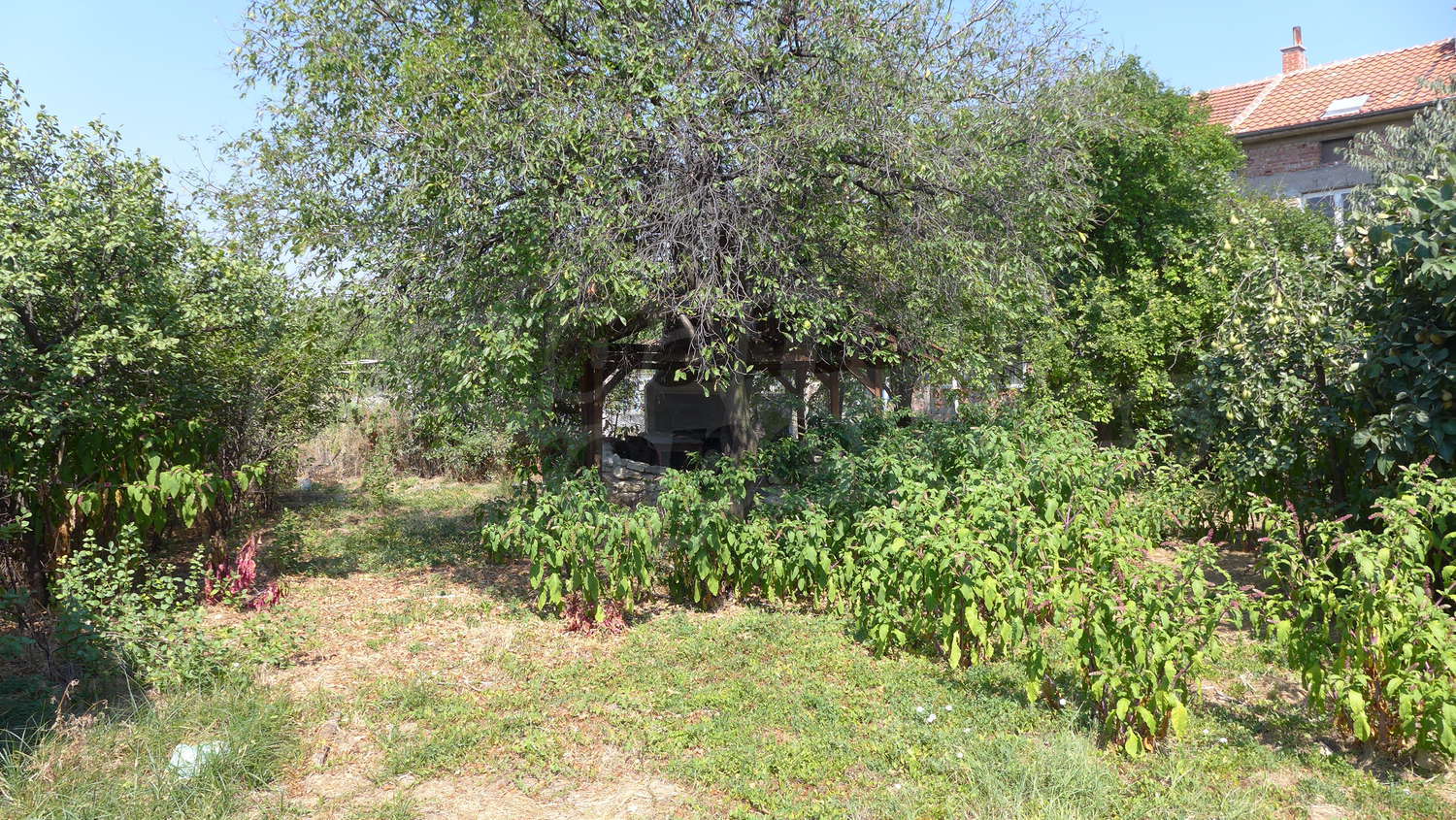 Gallery Picture 34