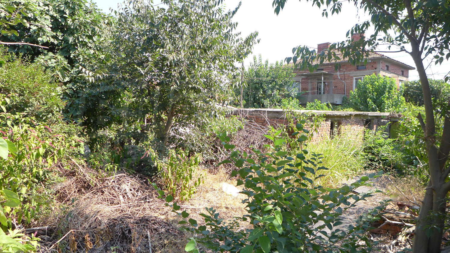 Gallery Picture 39