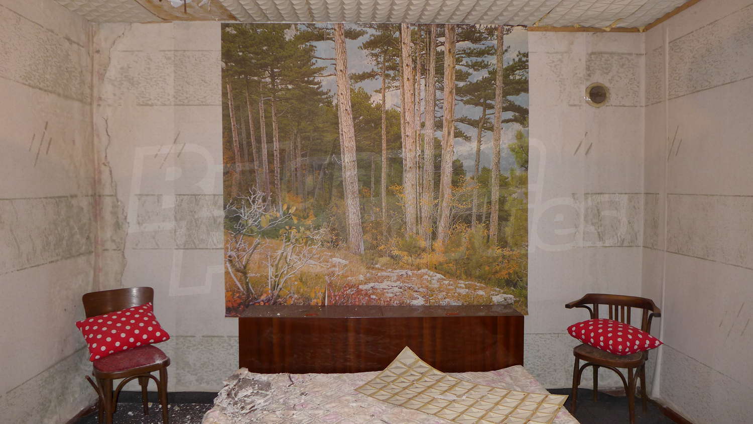 Gallery Picture 8