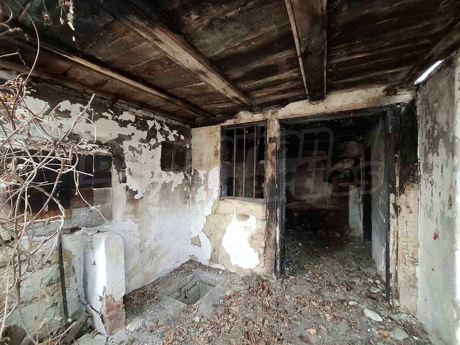 Gallery Picture 7