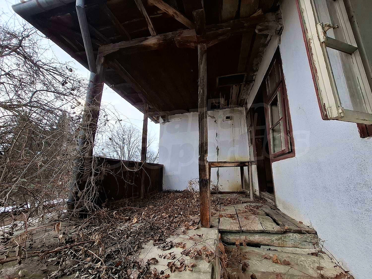Gallery Picture 14