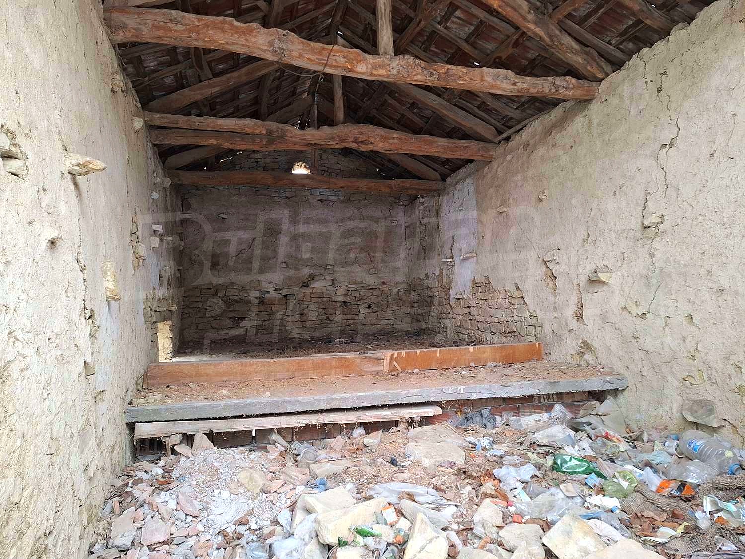 Gallery Picture 24