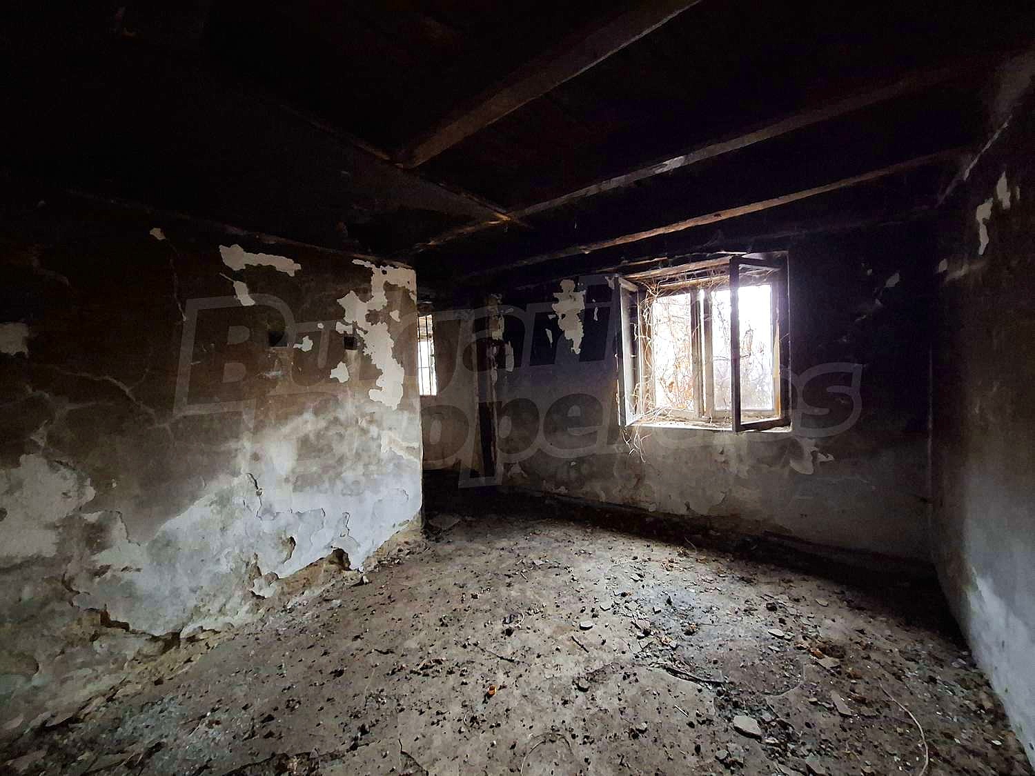 Gallery Picture 11