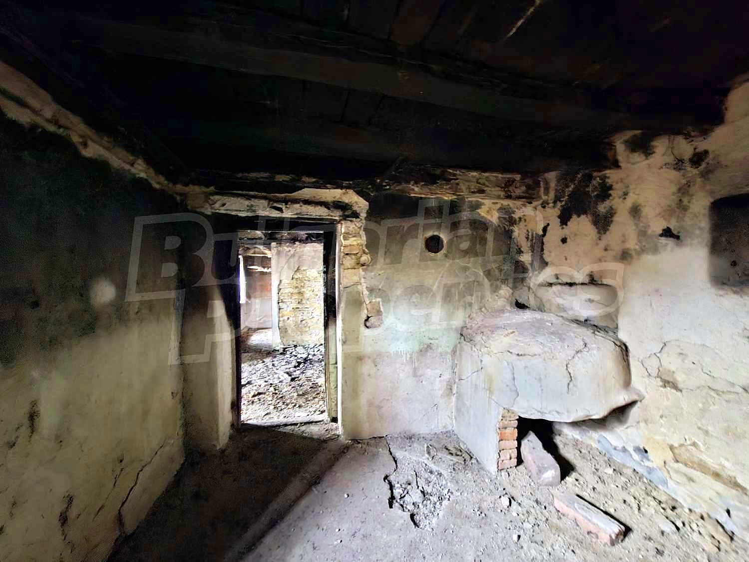 Gallery Picture 13