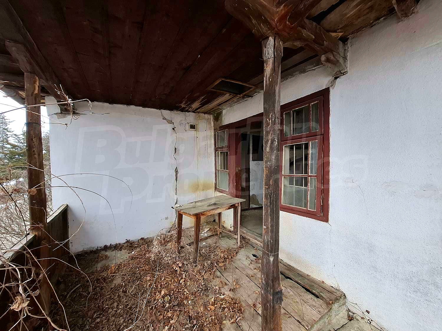 Gallery Picture 15