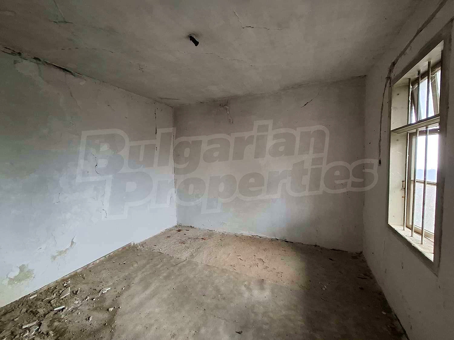 Gallery Picture 19