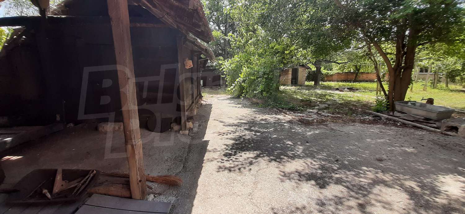 Gallery Picture 15