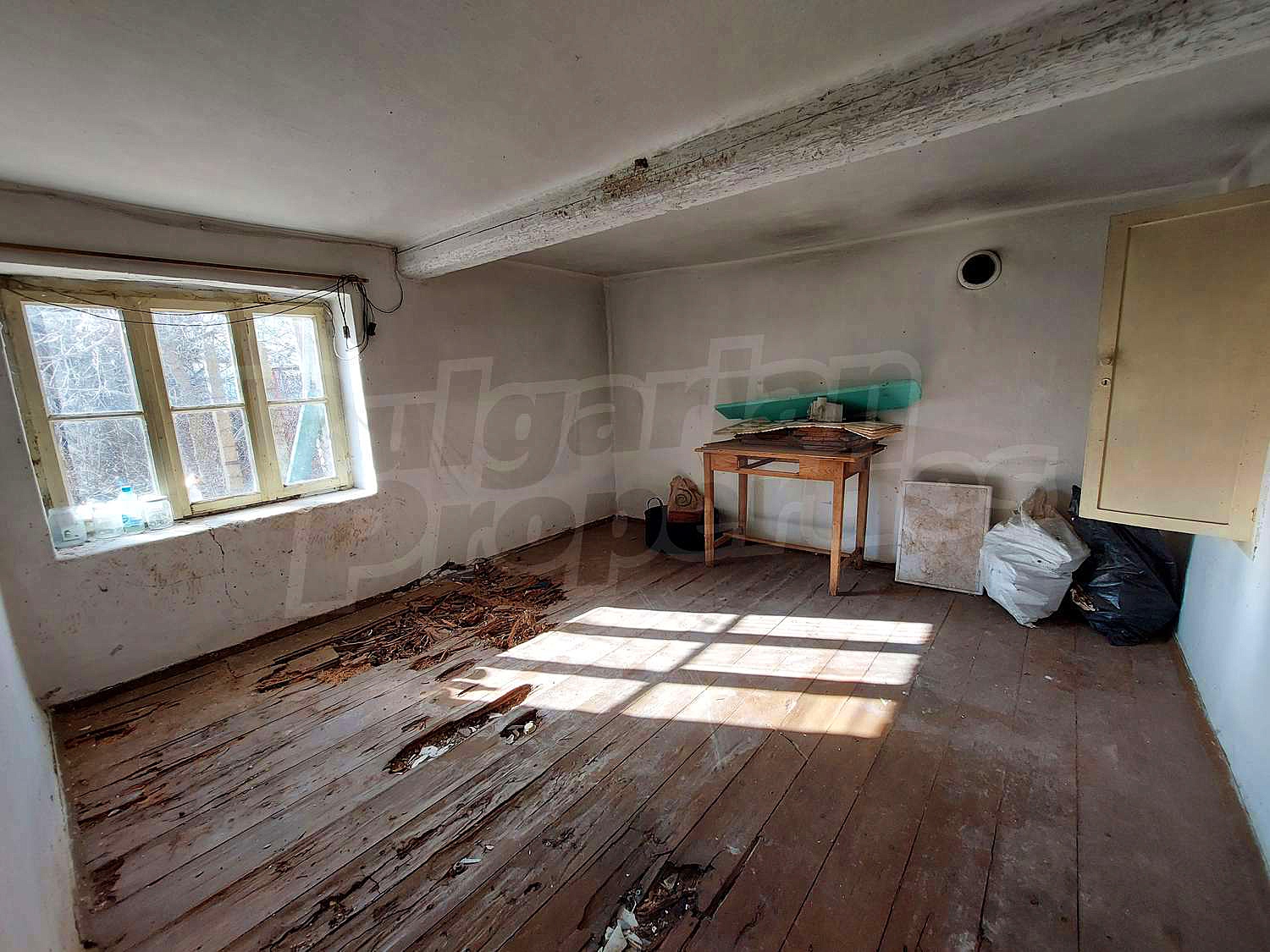 Gallery Picture 21