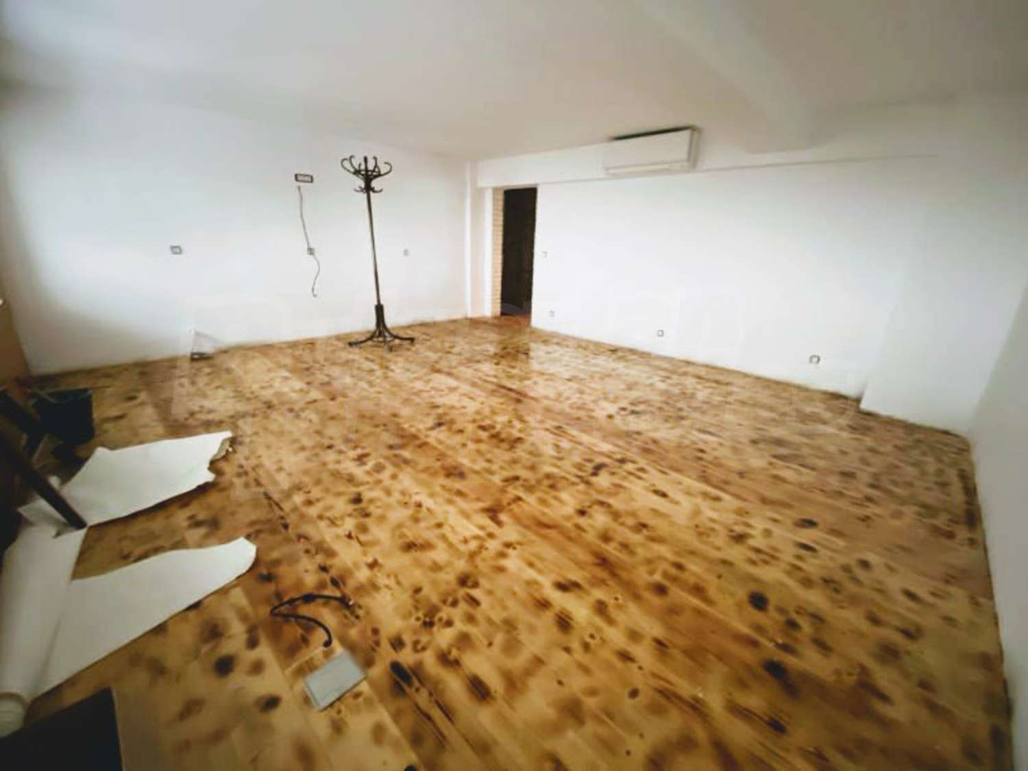 Gallery Picture 14
