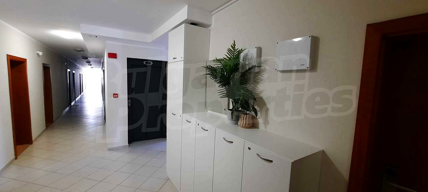 Gallery Picture 35