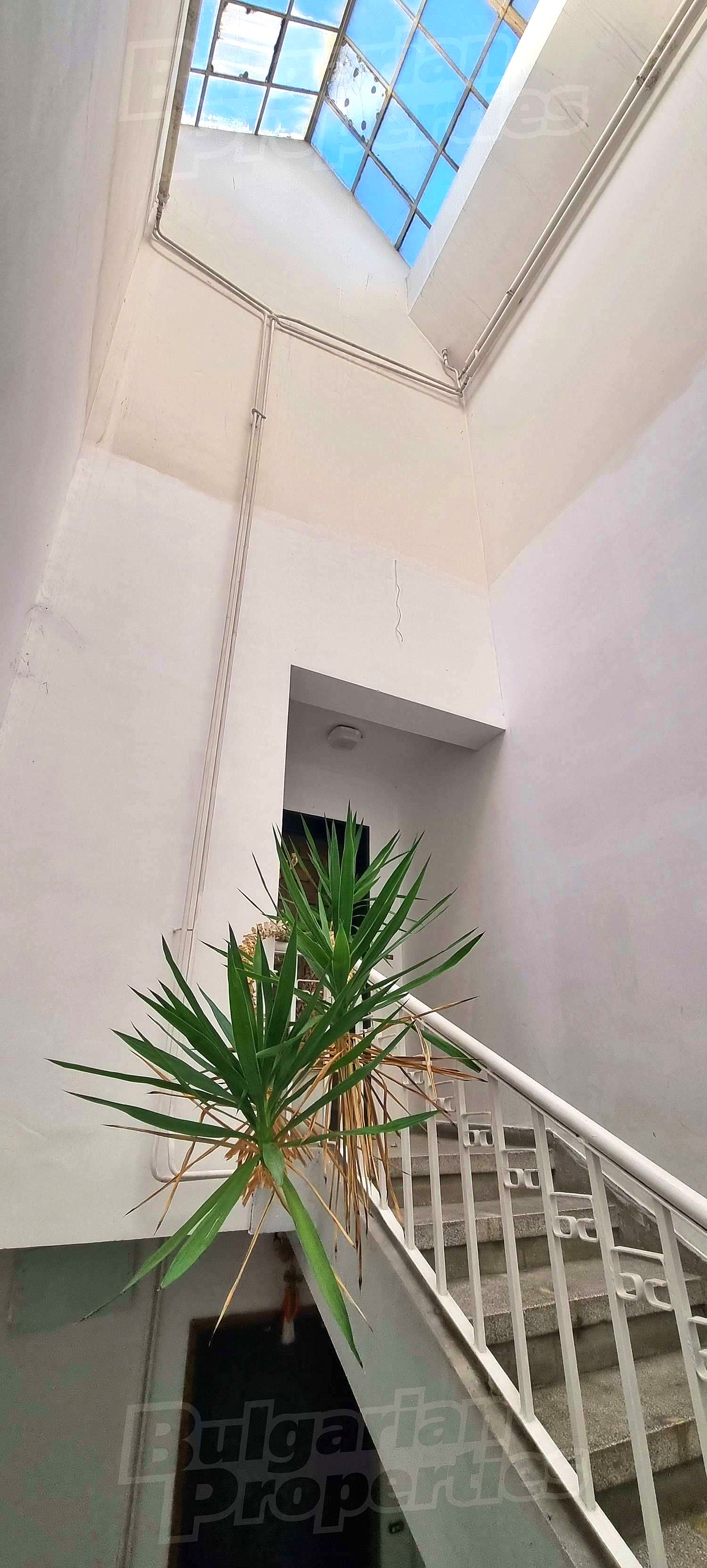 Gallery Picture 16
