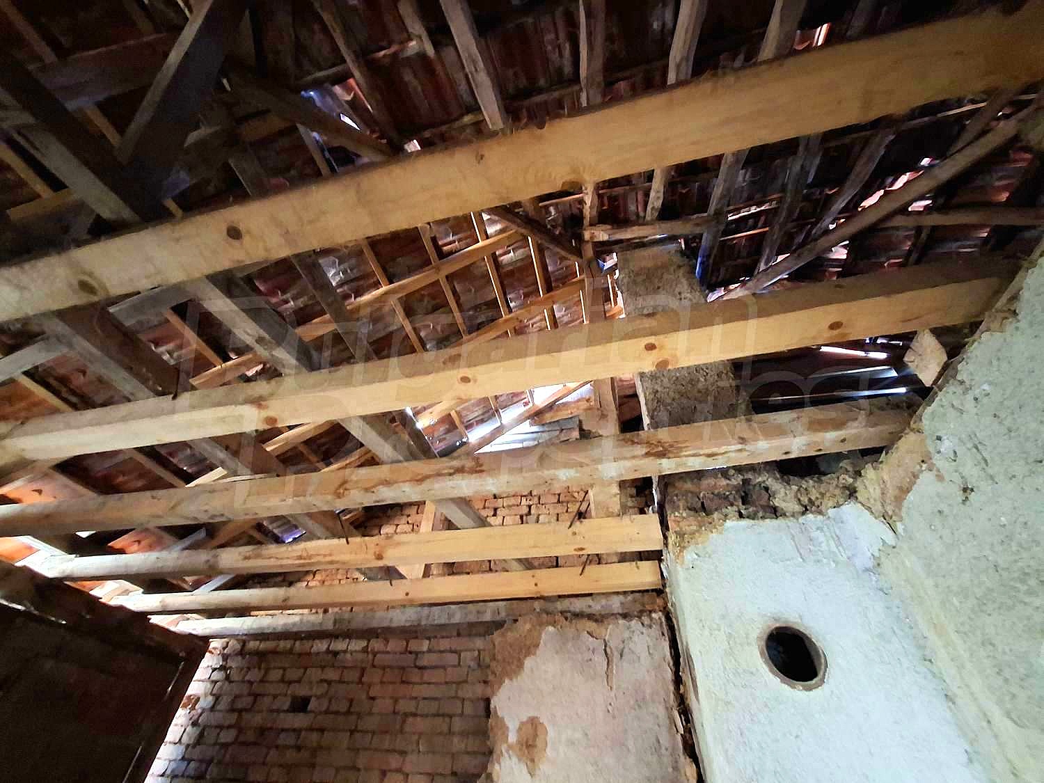Gallery Picture 15