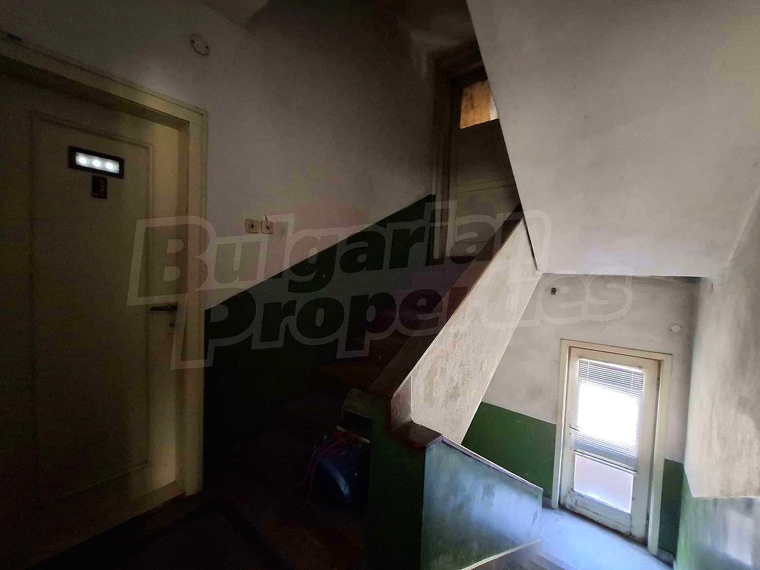 Gallery Picture 28