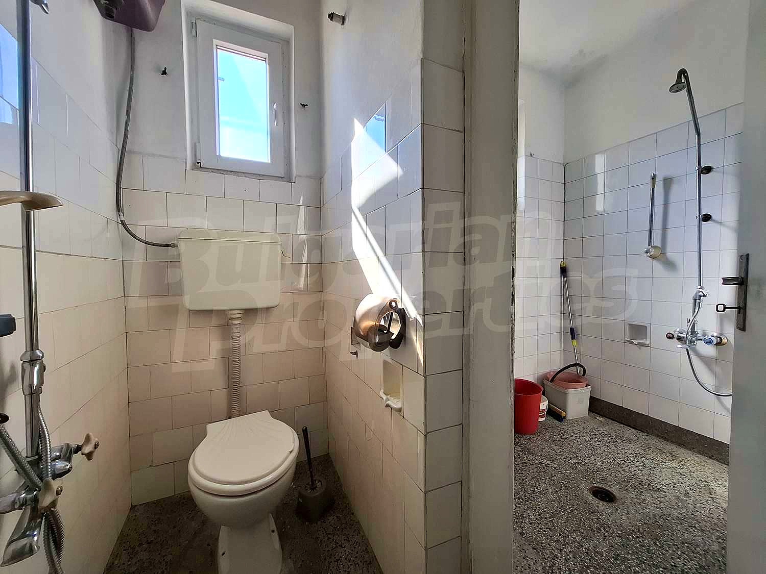 Gallery Picture 29