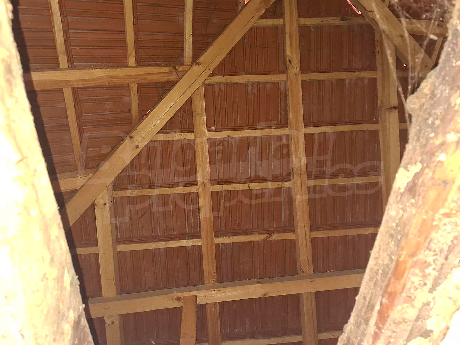 Gallery Picture 16